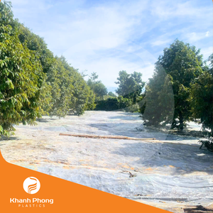 Film de paillis agricole-Contrôle de haute qualité La régulation de la température du sol maintient la zone racinaire optimale pour la croissance des plantes. - Product Image 2