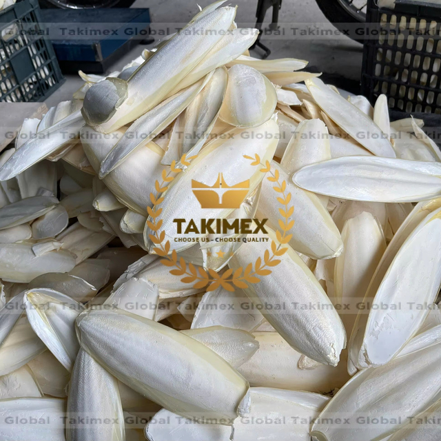 High Quality Grade 1 Cuttlefish Bone for Cattle & Fish Animal Feed Vietnam Manufacturer Best Prices