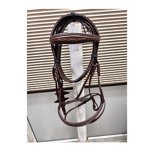 Brida de cuero para caballo ecuestre, nuevo diseño hecho a mano, prémium, para montar a caballo, para exportación, de cuero - Product Image 1