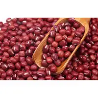 Pabrik Langsung Grosir Kacang Merah 2022 Bentuk Panjang Kacang Merah Gelap untuk Dijual