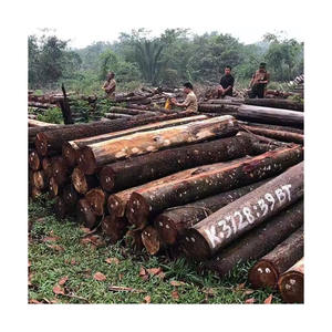 Leña de merbau de alta calidad disponible a precio de fábrica para el comercio al por mayor - Product Image 2
