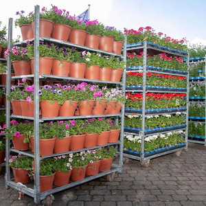 รถเข็นสำหรับใส่พืชแบบเดนมาร์กรถเข็นสำหรับใส่พืชเรือนกระจกสำหรับขนส่งแบบดัตช์ - Product Image 3