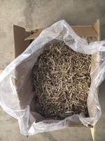 Pescado de anchoa prémium, de alta calidad, secado salado, en venta, vacaciones