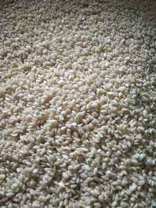 Offre de graines de sésame blanc décortiquées à bas prix, variété de couleur claire, idéales pour une utilisation culinaire, saveur riche, populaires au Moyen-Orient - Product Image 4