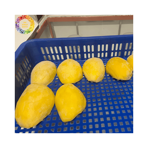 มะม่วงแช่แข็งแบบธรรมชาติ หั่นเป็นชิ้นและหั่นเป็นก้อน จากเวียดนาม คุณภาพสูง ราคาดี สำหรับส่งออก - Product Image 3