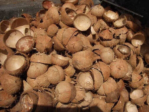 Coquille de noix de coco brute de qualité supérieure pour la décoration, l'artisanat et l'industrie du charbon de bois - Product Image 2