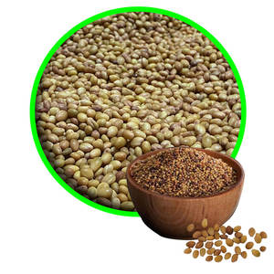 Berseem Clover | Demanda anual en cadenas de suministro de piensos - Product Image 2