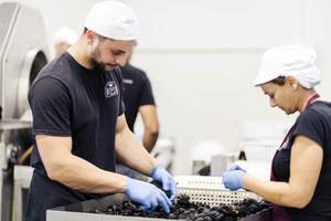 100g Tuber de truffe d'été noir pur entier Aestivum Vitt dans du jus de truffe Italie Europe Origine Top Qualité Végétalien Végétarien Halal - Product Image 4