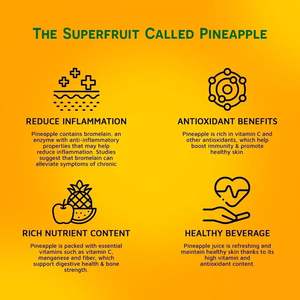 Jugo 100% Real de Puré de Naranja Recién Exprimido en Lata de Aluminio de 490 ml, Fabricación de Marca Privada OEM/ODM, Mayorista, Fabricante de Vietnam - Product Image 2