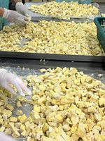 Durian Lyophilisé Croustillant Saveur Naturelle Qualité Supérieure Vente en Gros - Mme Tarina