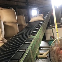 Café Vert Arabica du Vietnam CAU DAT-LAM DONG Meilleure Qualité Nouvelle Récolte Poli Grade AA Certifié ISO 22000 Agrikim Jute