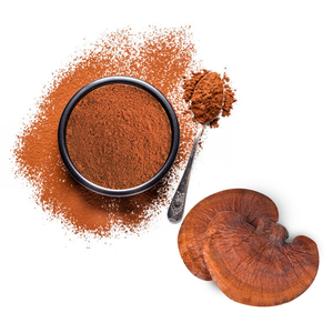 <strong>Broken</strong> Ganoderma Lucidum 600 Mesh <strong>Reishi</strong> Mushroom <strong>Shell</strong> <strong>Broken</strong> <strong>Spore</strong> <strong>Powder</strong> - Product Image 2