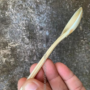 Elégante cuillère en corne de buffle biodégradable Design classique Durable et non toxique pour les repas et les fêtes Style classique élégant par FWE - Product Image 1