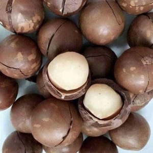 Noix de macadamia françaises biologiques de qualité supérieure, riches en nutriments, blanchies, emballées sous vide, 25/50 kg, en vente - Product Image 1