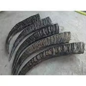 Corne à boire viking en corne de buffle 100% naturelle et écologique, polie, pour bière/eau, meilleure qualité, vente en gros, Inde, sur mesure - Product Image 5