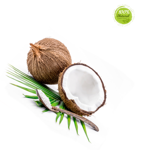 Cáscara de coco seca de estilo fresco para el crecimiento de inicio de alimentos - Product Image 6