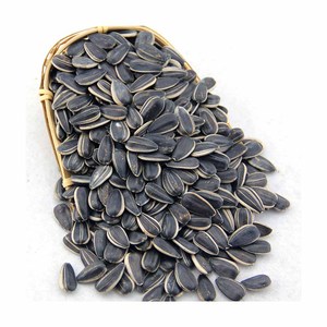 เมล็ดทานตะวันขาวดีและไม้จิ้มฟันอาหารเมล็ดทานตะวันขาว - Product Image 6