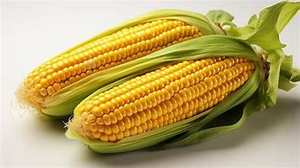 MAÍZ DULCE AMARILLO CONGELADO PARA APOYO INMUNE INGREDIENTES LIMPIOS - Product Image 3