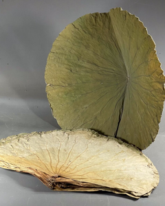 Feuilles de lotus séchées, ingrédient naturel pour le thé aux herbes - Product Image 4