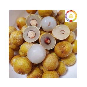 Longane congelé de qualité supérieure du Vietnam Récolte fraîche Fruit sucré et juteux de haute qualité pour les acheteurs en vrac et les revendeurs - Product Image 1