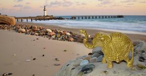 Brass thân cây lên voi bức tượng showpiece kim loại bức tượng may mắn trang trí nội thất Quà Tặng item - Product Image 3