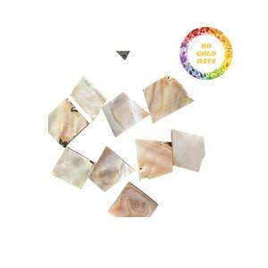 Conchas de nácar de Vietnam de primera calidad enteras y trituradas para la fabricación de joyas, botón de concha, industria, suministro de artesanías con incrustaciones de muebles - Product Image 1