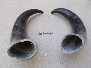 Artisanat en corne de style animal écologique Tradebyd, artisanat artisanal en matériaux organiques, décoration d'intérieur décorative, collection de cadeaux de luxe uniques - Product Image 5