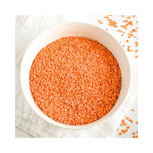 Lentilles rouges nettoyées et triées, commande en gros, légumineuses de qualité supérieure, offre d'exportation fiable - Product Image 4