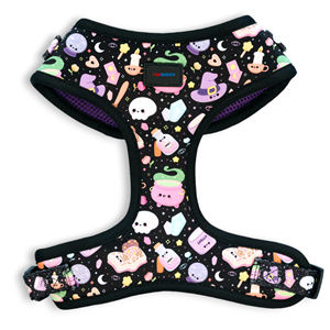 Arnés ajustable para perros-Arnés de bruja de Halloween para perros y gatos pequeños con Calaveras, pociones y hechizos-Lindo diseño de bruja negra - Product Image 1