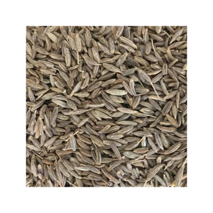 Graine de cumin de qualité supérieure et poudre de cumin épices séchées naturelles Jeera pour la cuisson en vrac exportation en gros - Product Image 2