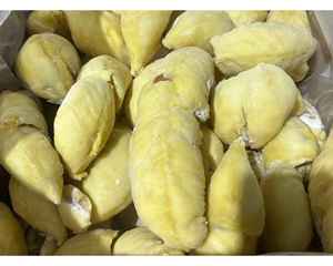 Durian congelé par IQF coupé et emballé dans la chair d'or de Durian congelé par IQF de carton d'exportation utilisée dans l'industrie alimentaire globale - Product Image 1