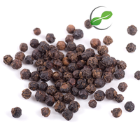 Especias Tradicionales Indonesias Premium, 25 KG de Pimienta de Tierra Cruda Seca, Lista para Enviar a Todo el Mundo, Empacada en Bolsas de Yute