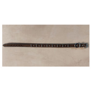 Vente chaude colliers pour animaux de compagnie collier de chien de petite et moyenne taille fournitures pour animaux de compagnie en gros - Product Image 5