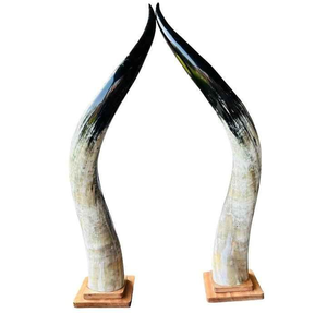 Cuernos Largos de Cuerno de Búfalo, Par Premium Pulido, Estilo Náutico, Artesanía Ecológica, Tamaño Personalizable, Decoraciones de Animales - Product Image 4