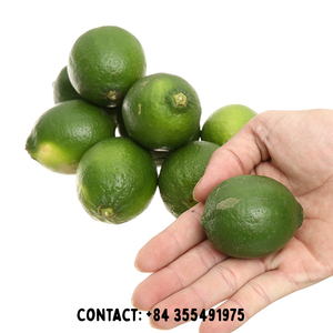 Calidad de exportación Lima fresca/Limón verde sin semillas Vietnam | Suministro de bajo precio/Sra. Jessi - Product Image 6