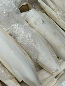 Os de poisson de seiche séché naturel Matériau marin écologique du Vietnam Os de poisson de seiche séché pour le polissage et l'utilisation artistique - Product Image 5