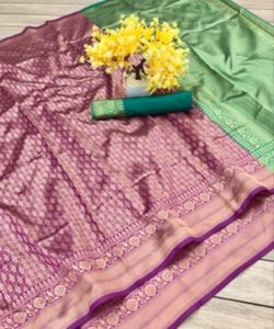 Elegante y Moderno Sari de Seda para Mujer en India para Fiestas - Emprende un Viaje por la Ropa Tradicional India - Product Image 6