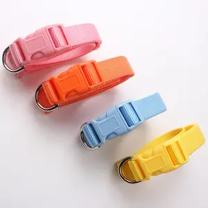 Collier en Nylon de couleur Pure pour chien, meilleure qualité de vente - Product Image 2