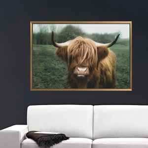 Printed <b>Canvas</b>: Scottish Highland Cow Wall Decor, Valentine's Day Gift,1P:Gold <b>Framed</b> - Product Image 1