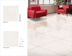 Carreau de granit Lofty Bianco 2x2 Carreaux de sol en marbre égyptien Porcelaine polie Design de sol de bureau 60x60 GVT PGVT Carreaux émaillés - Product Image 1