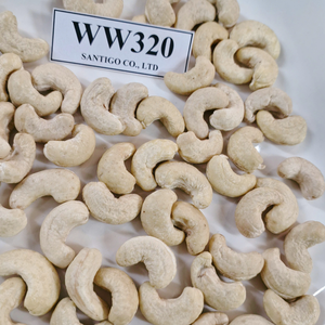 Noyau de noix de cajou d'usine de confiance W320 Kaju Badam Santigo noix de cajou exportées dans le monde entier - Product Image 1