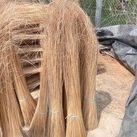 Vente en gros de bâton de balai de noix de coco au meilleur prix bâtons de feuille de palmier pour la fabrication de balais exportation du Vietnam