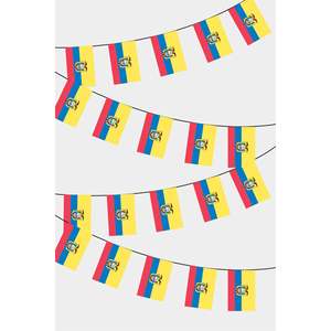 Rectangular Flag <b>Banners</b> for Party Decorations-Ecuador - Product Image 1