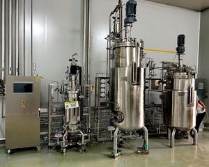 Biorreactor por lotes Bailun biología sintética fermentador de definición inactiva de acero inoxidable Biorreactores de mesa de 50L - Product Image 4