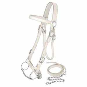 Brida Ajustable de Cuero Blanco con Doble Costura para Caballo de Tiro, bhy ARMANDIOUS INDUSTRIES - Product Image 5