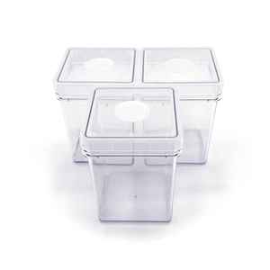 Contenedor Cuadrado Premium para Cultivo de Tejidos para Biotecnología e Investigación Vegetal - Product Image 5