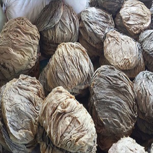 Industrial Grade <b>Beef</b> Omasum Frozen Tripe Cleaned Processed For Food Manufacturing - Product Image 4