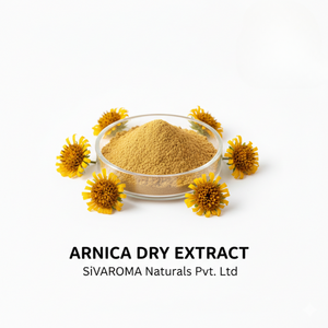 Poudre d'arnica professionnelle pour les marques de soins de la peau et les fabricants de produits cosmétiques - Product Image 6