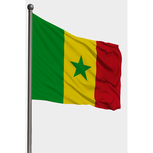 Drapeau extérieur personnalisé du Sénégal 3x5 pieds, numérique, en aluminium, pour l'industrie automobile et l'assurance, fabriqué en polyester, soie, plastique, bannière - Product Image 1