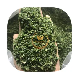 أوراق الطحلب الأخضر المجفف من الأعشاب البحرية LACTUCA ، جنس ULVA الأخضر الصالح للأكل ، شكل فيتنام عالي الجودة